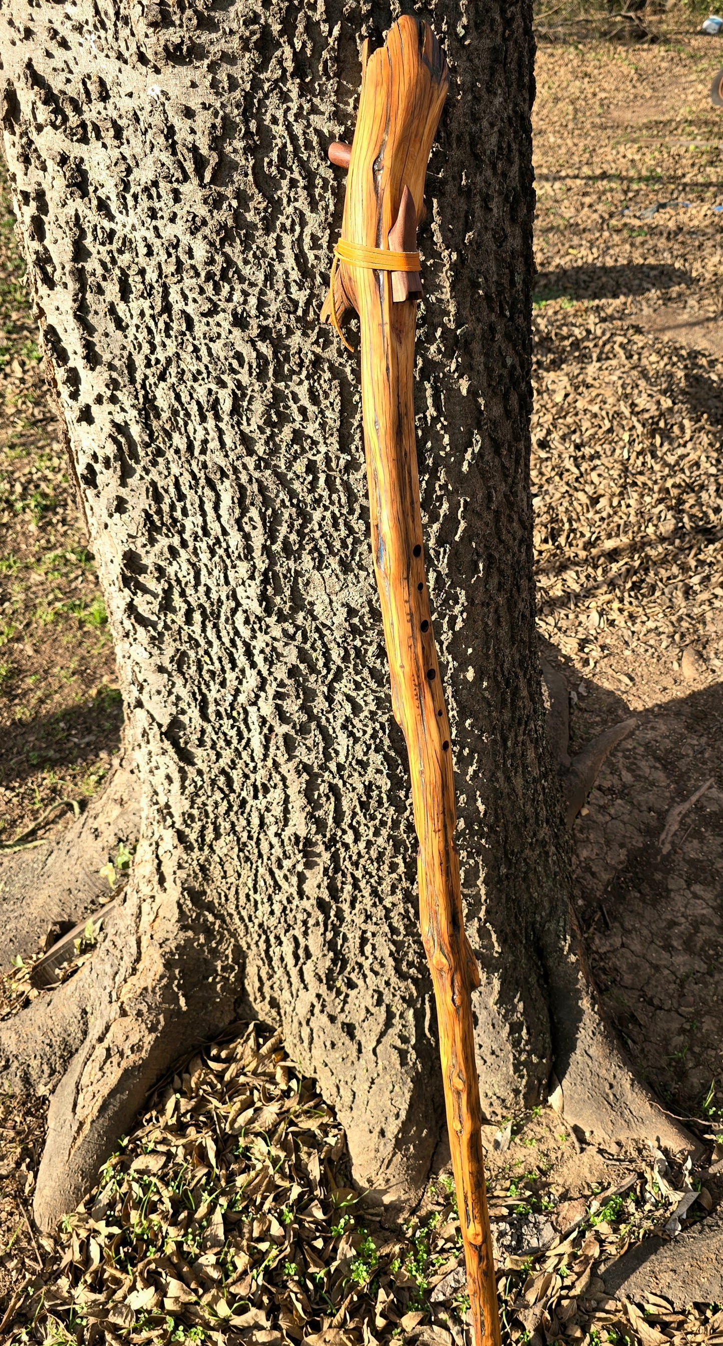 Walking stick flute c# aeolian scale 432Hz