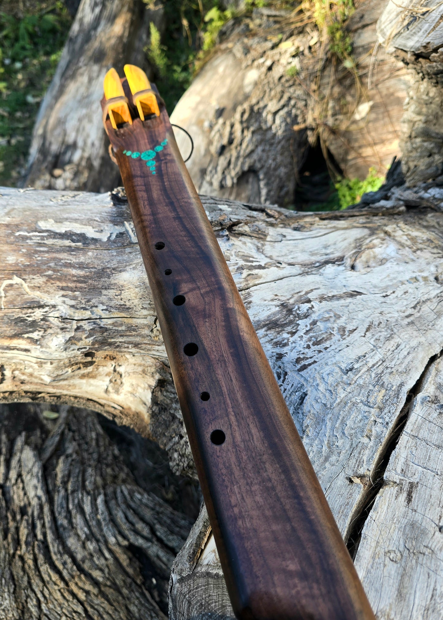 Black walnut fifth below aolen scale drone E/A 432HZ