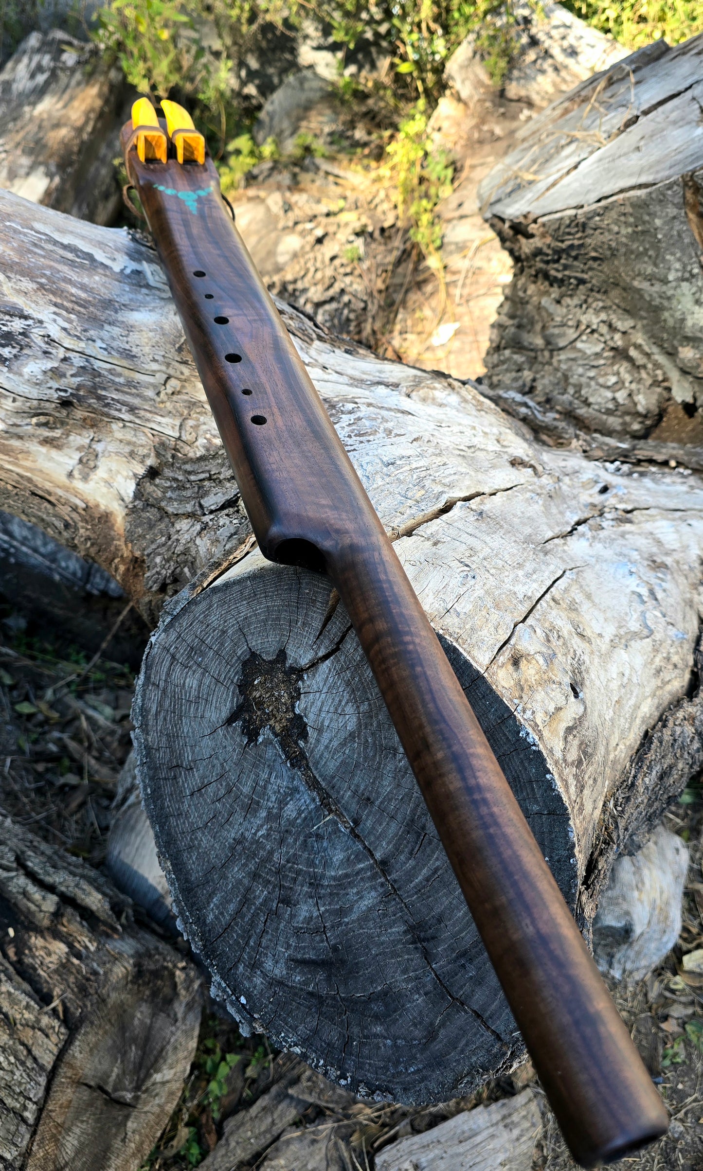 Black walnut fifth below aolen scale drone E/A 432HZ