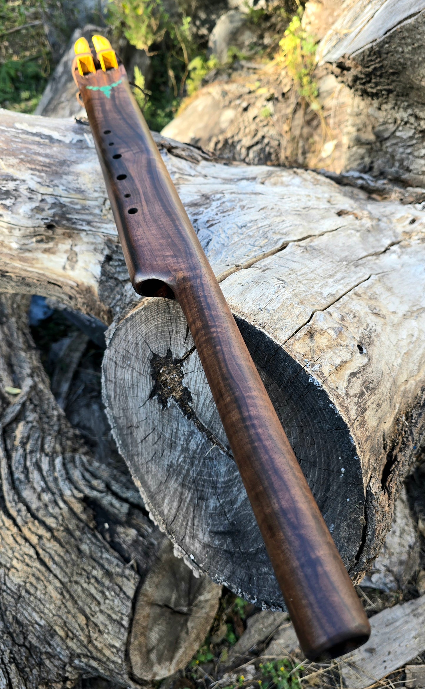 Black walnut fifth below aolen scale drone E/A 432HZ