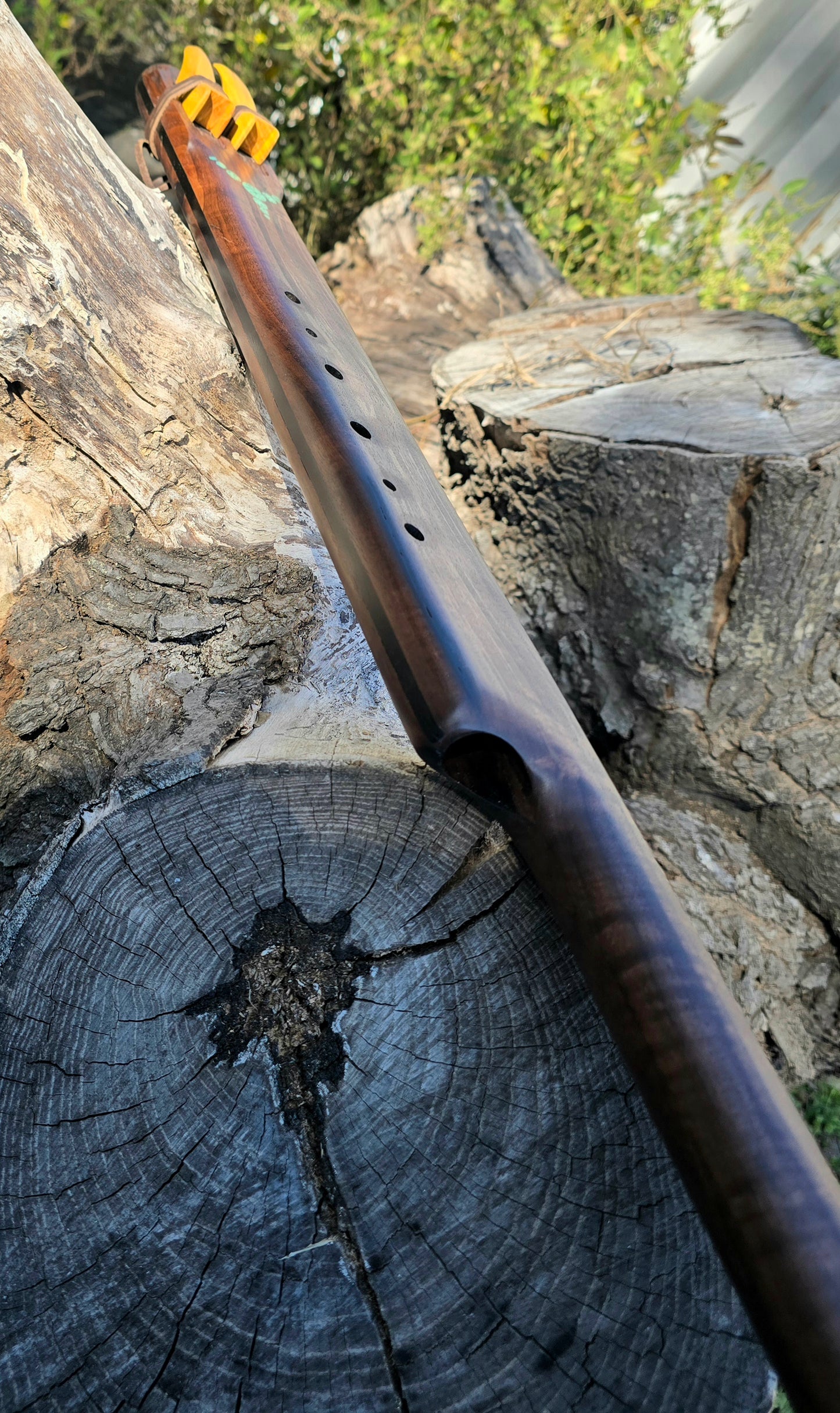 Black walnut fifth below aolen scale drone E/A 432HZ